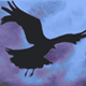 raven icon